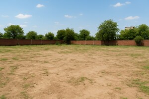  Plot For Sale in Sector 42