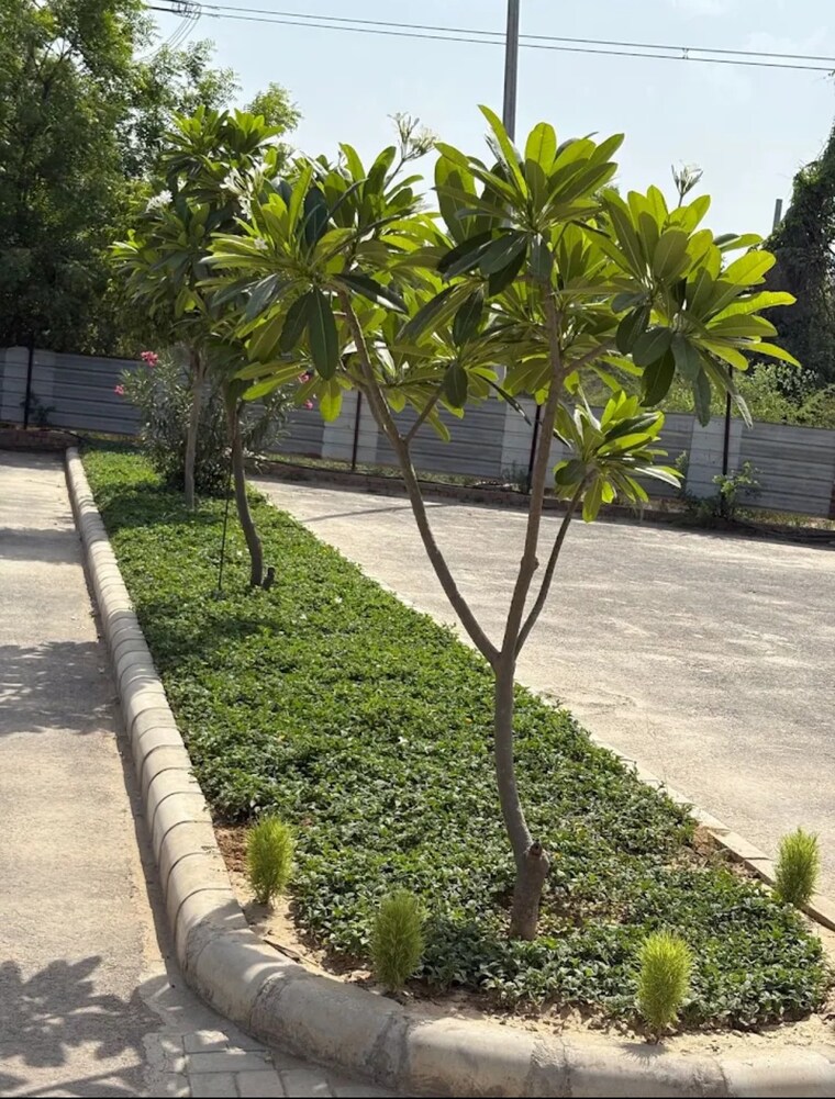 Garden, satya-merano-greens  129 Sq.Yd. Plot In Sector 99a Gurgaon 9251418