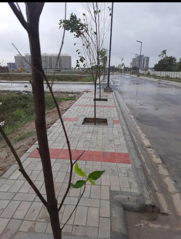 Exterior View, satya-merano-greens  129 Sq.Yd. Plot In Sector 99a Gurgaon 9251418