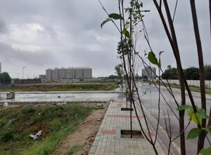  Plot – Exterior View View at Satya Merano Greens, Sector 99a - for Sale