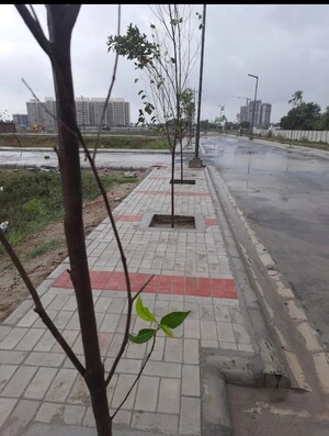  Plot – Exterior View View at Satya Merano Greens, Sector 99a - for Sale