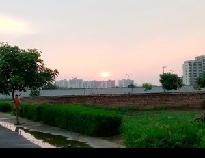 Plot Area in  Plot at Vatika Gurgaon Next Plots, Sector 82 – for Sale
