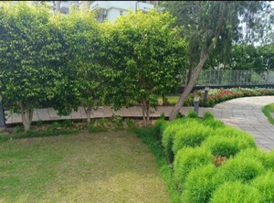 3 BHK Apartment – Garden View at Emaar Imperial Gardens, Sector 102 - for Sale