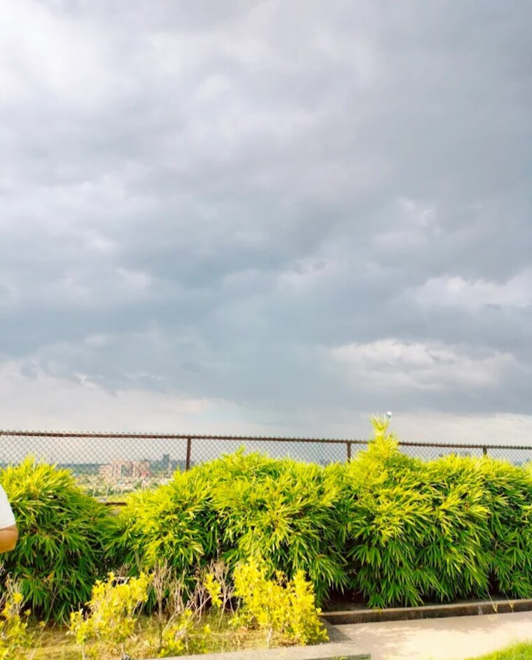 Garden, emaar-imperial-gardens 3 Bedroom 2000 Sq.Ft. Apartment In Sector 102 Gurgaon 9251640