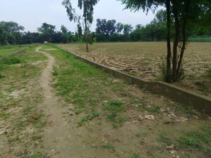 Plot Area in  Plot at Kamta – for Sale