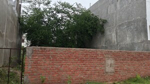 Plot Area in  Plot at Kamta – for Sale