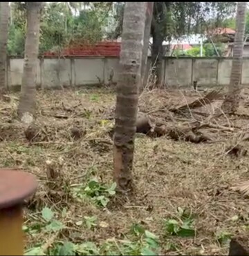 Plot Area in  Plot at Kalathode – for Sale