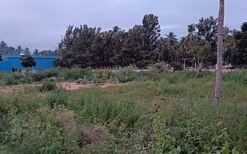 Plot For Sale in Andrahalli