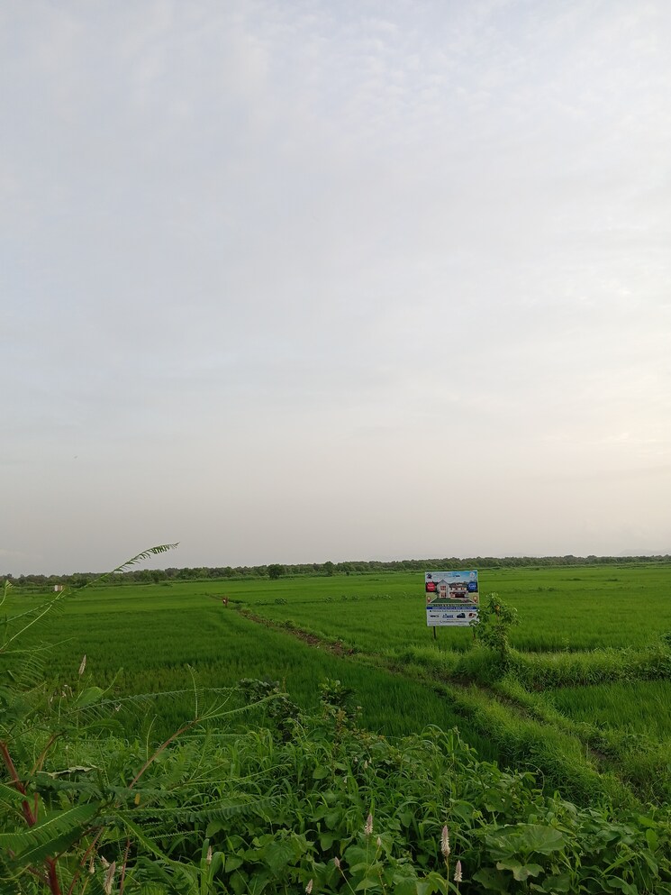 Garden, uran  6534 Sq.Ft. Plot In Uran Navi Mumbai 9251934