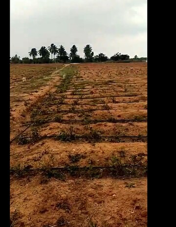  Plot For Sale in International Airport Road