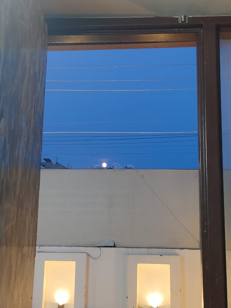 Room, sector 51 1.5 Bedroom 500 Sq.Ft. Builder Floor In Sector 51 Gurgaon 9252069