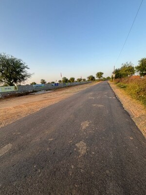  Plot For Sale in Pearl Avenue Bhankrota, Bhankrota