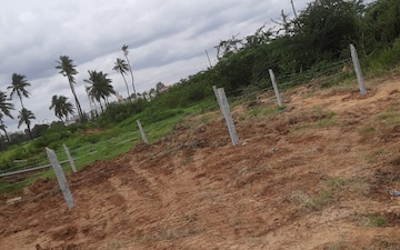 Plot For Sale in Chikkaballapur