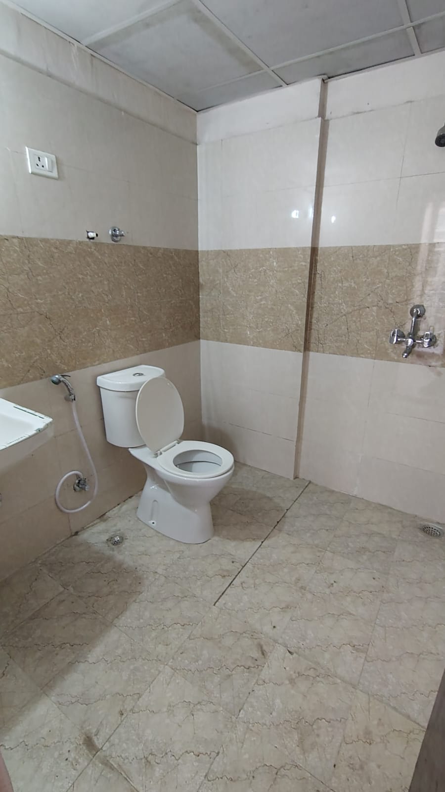 2 BHK Apartment For Rent in Amrapali Golf Homes