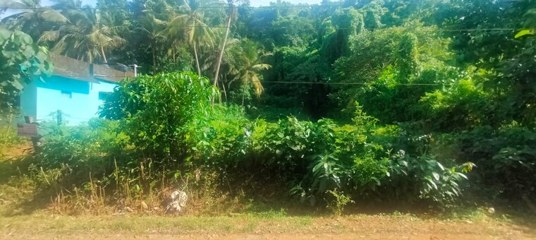 Garden, amala nagar  7405 Sq.Ft. Plot In Amala Nagar Thrissur 9252537