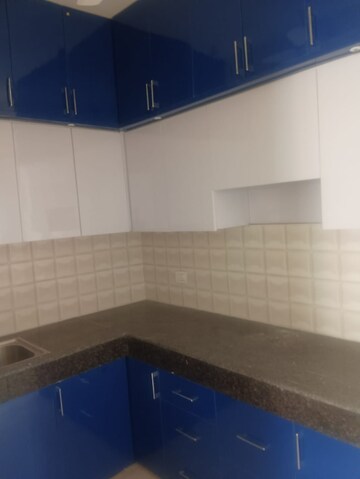 Kitchen in 3 BHK Apartment at Amrapali The Hemisphere, Jaypee Greens – for Rent