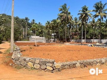 Plot Area in  Plot at Muthuvara – for Sale