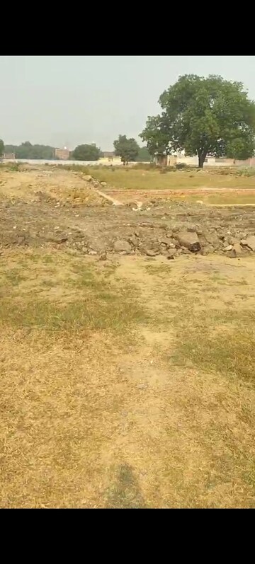 Plot Area in  Plot at Sector 59 – for Sale