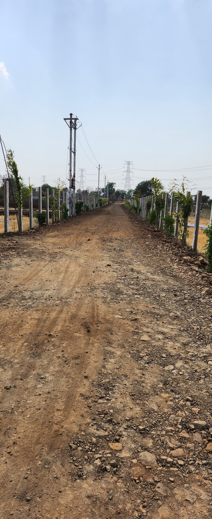 undefined, barela road  800 Sq.Ft. Plot In Barela Road Jabalpur 9253265