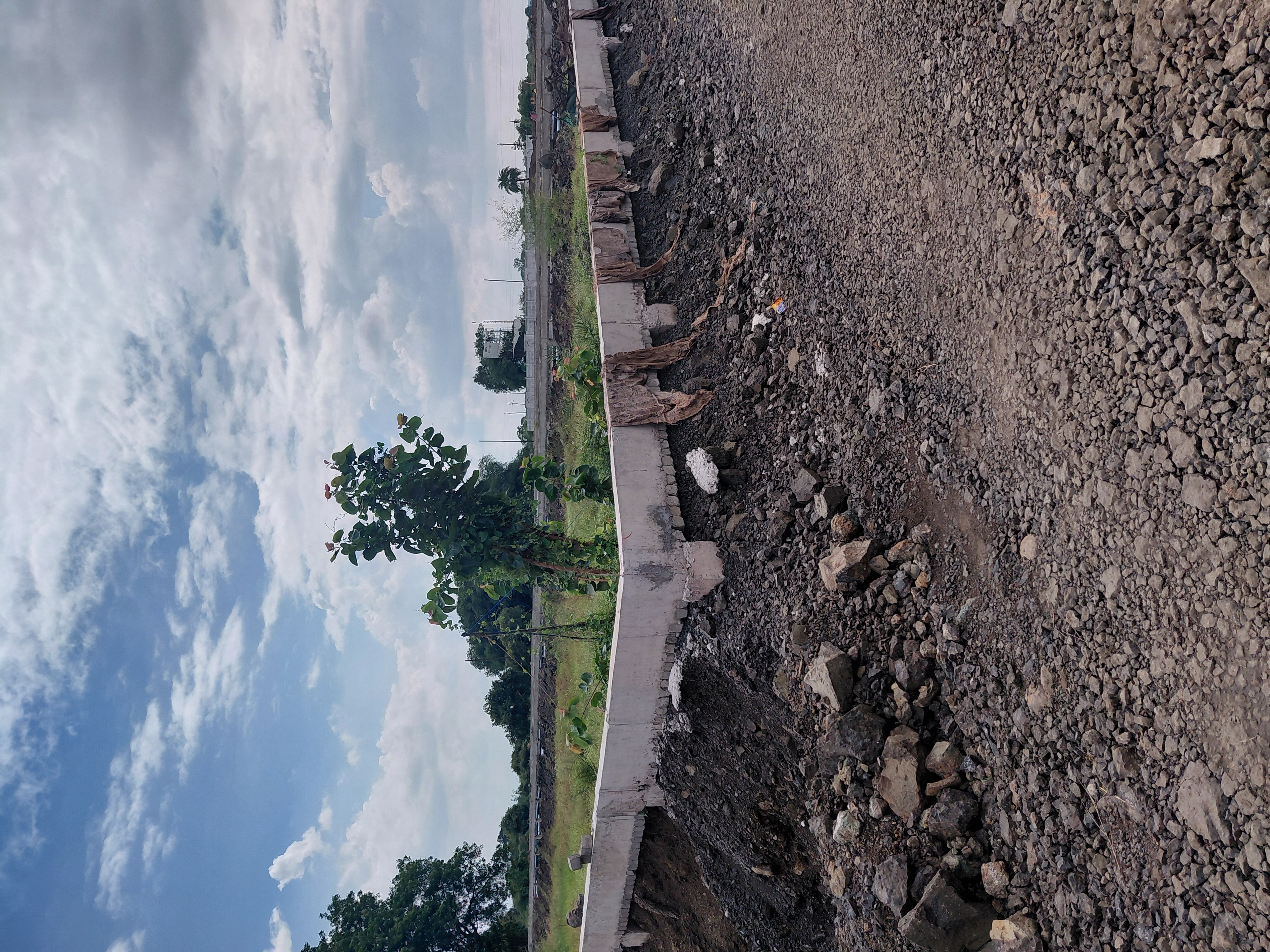 Plot For Sale in Tulip Home 