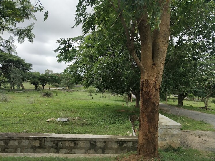undefined, bannerghatta  1200 Sq.Ft. Plot In Bannerghatta Bangalore 9253439