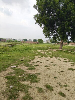 Plot Area in  Plot at Jhalwa – for Sale