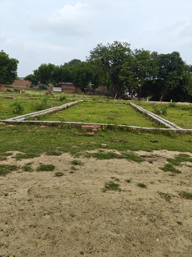 undefined, jhalwa  1320 Sq.Ft. Plot In Jhalwa Allahabad 9253416