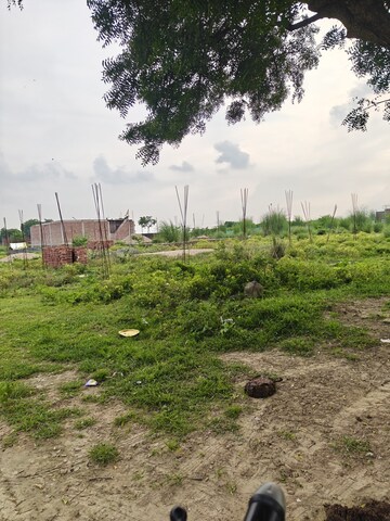 Plot Area in  Plot at Jhalwa – for Sale