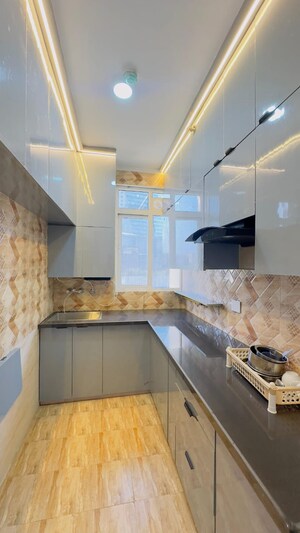 Kitchen in 3 BHK Apartment at Amrapali Golf Homes, Sector 4 Greater Noida – for Rent