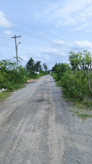  Plot For Sale in Ozar