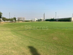 Plot Area in  Plot at Central Park 3 Flower Valley, Sohna Sector 33 – for Sale