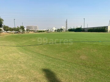 Plot Area in  Plot at Central Park 3 Flower Valley, Sohna Sector 33 – for Sale