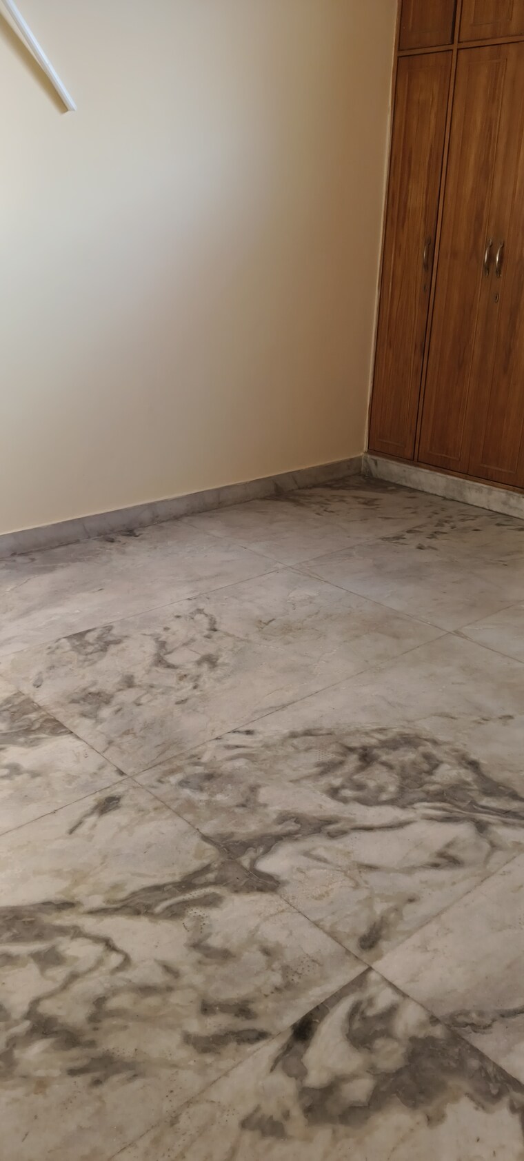 Room, rwa-apartments-sector-53 3 Bedroom 250 Sq.Mt. Villa In Sector 53 Noida 9254109