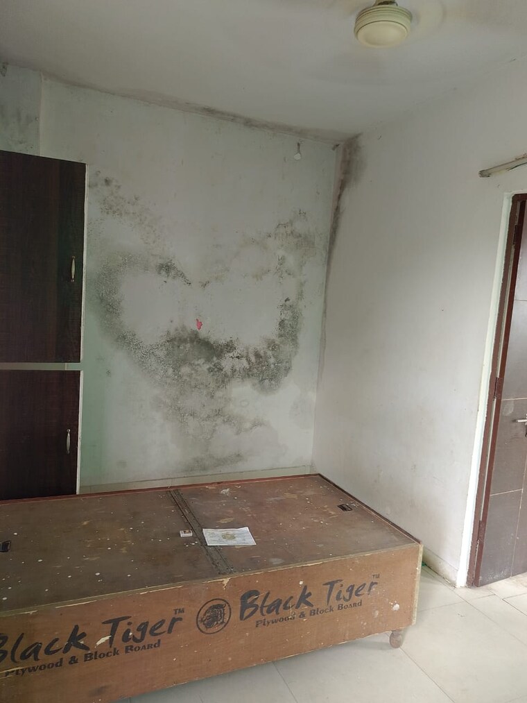 Room, lajpat nagar i 1 Bedroom 790 Sq.Ft. Builder Floor In Lajpat Nagar I Delhi 9254249