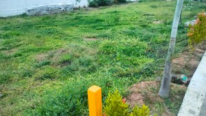 Plot Area in  Plot at Vandalur – for Sale