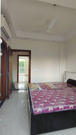 Building Lobby in 2 BHK Apartment at A3S Homes, Palam Vihar – for Rent