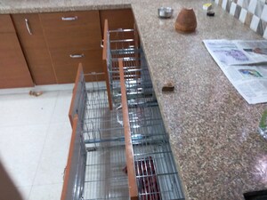 3 BHK Independent House – Exterior View View at Gms Road - for Rent