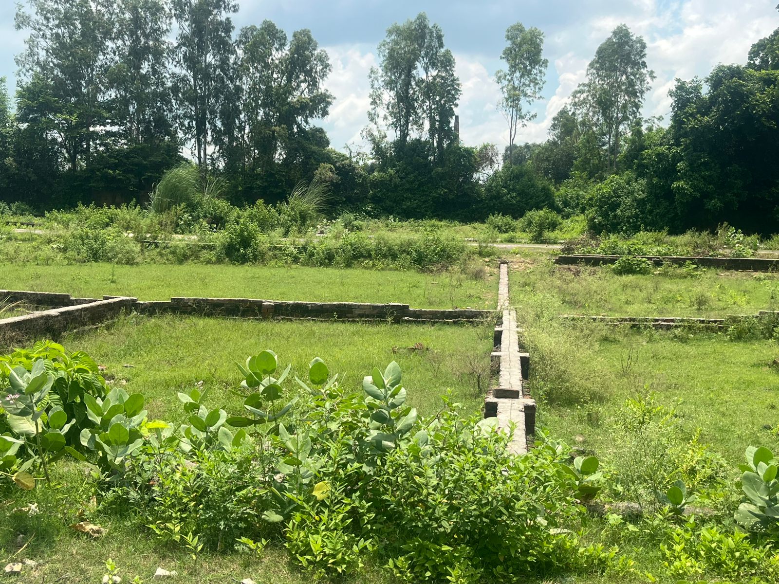 Plot For Sale in Swarved City 