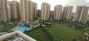 3 BHK Apartment For Rent in Sector 20