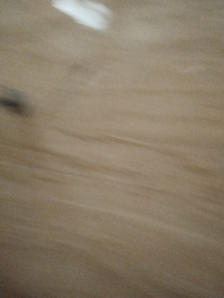 Room, karkardooma 3 Bedroom 2085 Sq.Ft. Builder Floor In Karkardooma Delhi 9254908