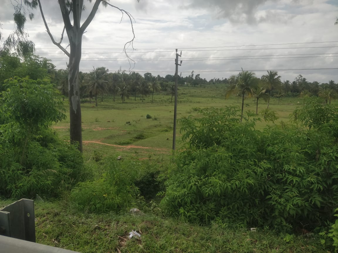 Plot For Sale in Byatarayanapura