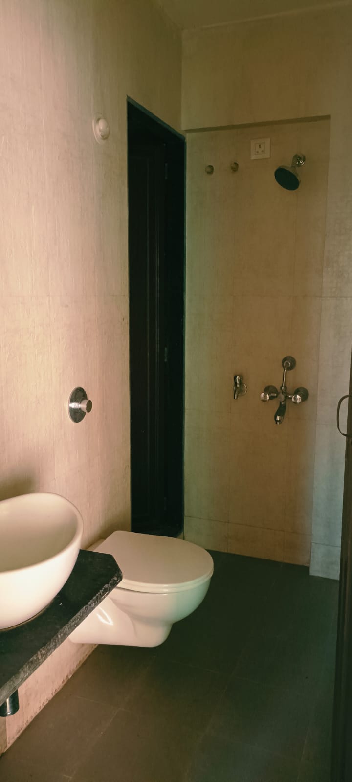 1 BHK Apartment For Rent in Vihang Valley Phase1