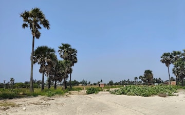 Plot For Sale in Mandarmani