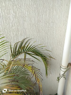 2 BHK Apartment – Map Location View at Avnee Bellavista G Building, Kondhwa - for Sale