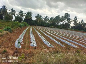  Plot For Sale in Nadavathi