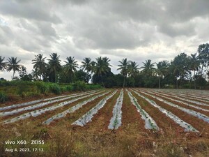 Plot Area in  Plot at Nadavathi – for Sale