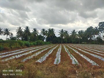 Plot Area in  Plot at Nadavathi – for Sale