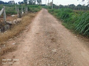  Plot – Exterior View View at Nadavathi - for Sale