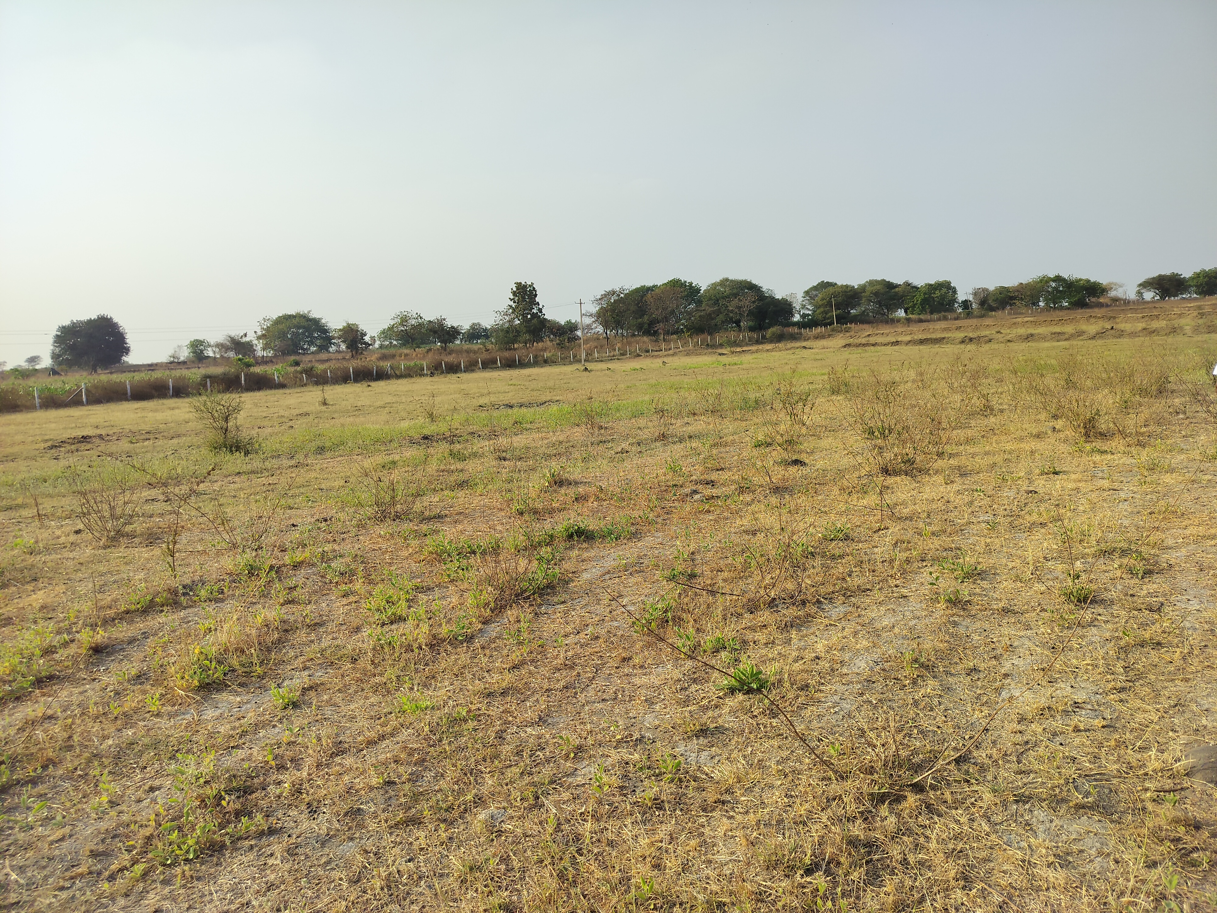 Plot For Sale in Kharar-Kurali Highway