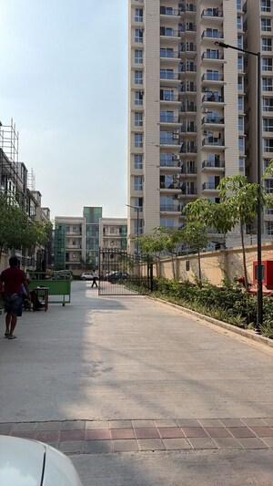 2 BHK Apartment For Rent in Signature Global Prime, Sector 63a